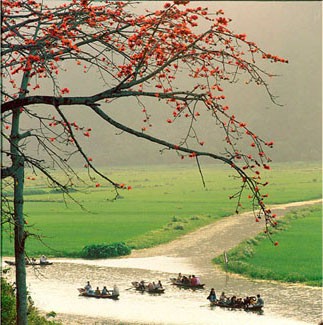 Tourists travel by boats along the Yen Stream leading to Huong Pagoda in My Duc District, Hanoi. This year, 200 new boats will be launched to transport visitors